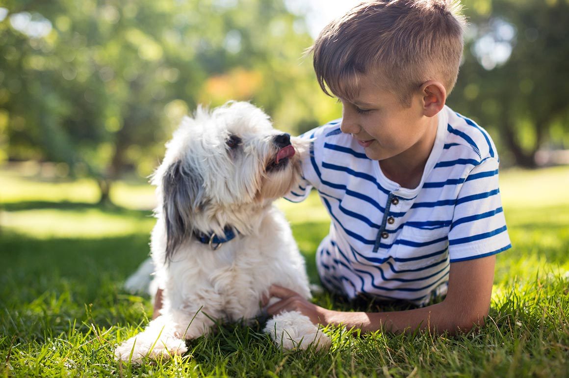 blog-2 Annual Vaccinations for Your Pet