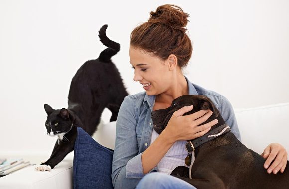blog-4 10 Ways to Engage Your Dog Indoors