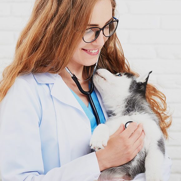 Dr. Sara Connors