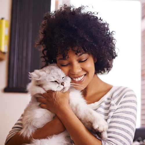 Pet Adoption: How To and What For?
