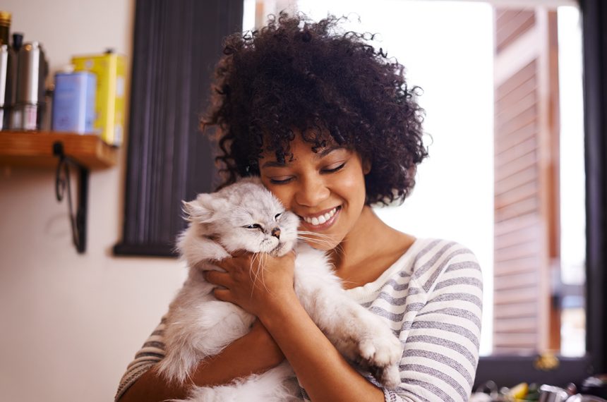Pet Adoption: How To and What For?