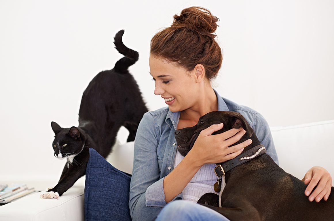 blog-4 10 Ways to Engage Your Dog Indoors
