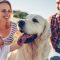 How to: Safely Bring Home Shelter Dog