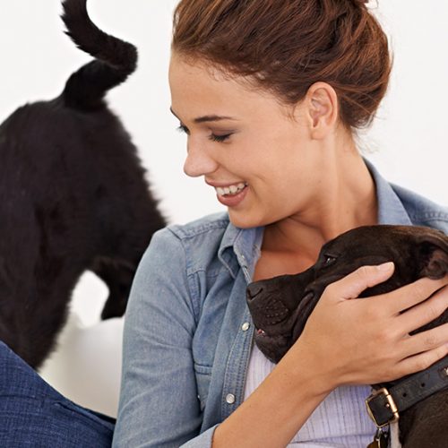 Let’s Save Life of Little Pets