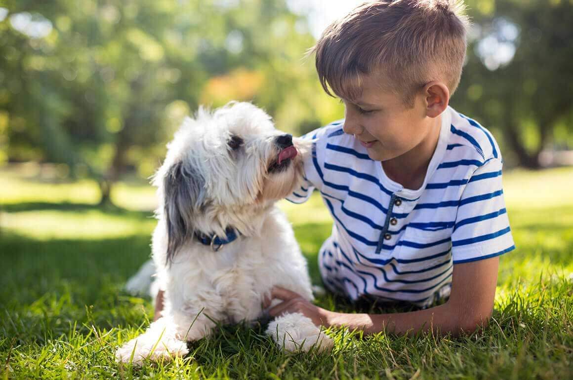 blog-2 Annual Vaccinations for Your Pet