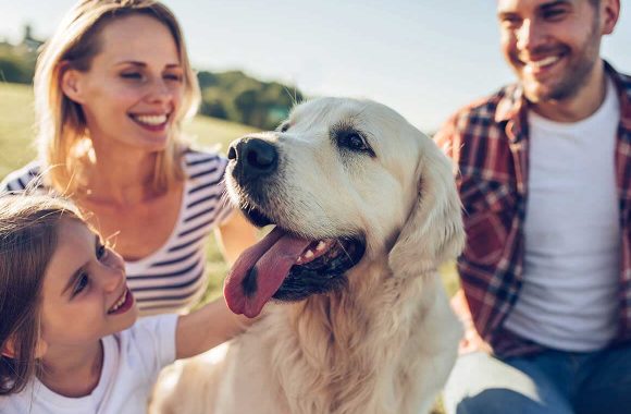 blog-5 How to: Safely Bring Home Shelter Dog