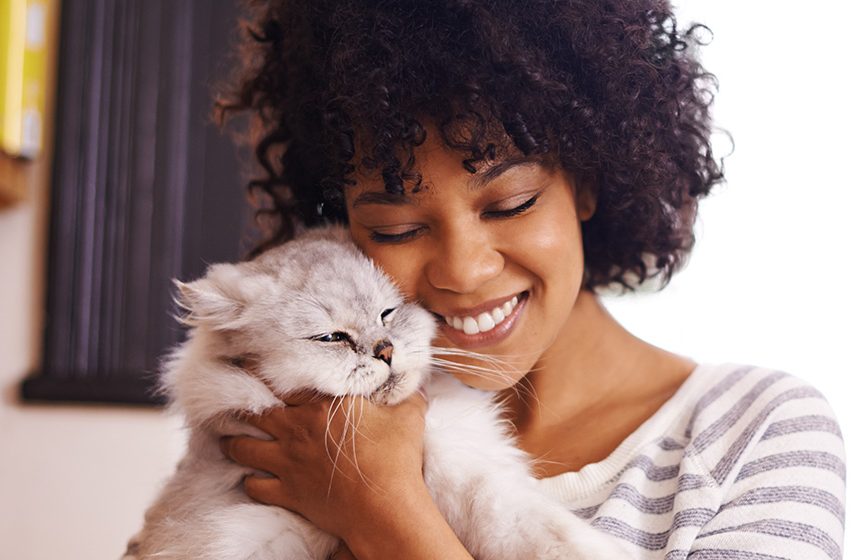 donation-8 Return of Lost Pets to Families